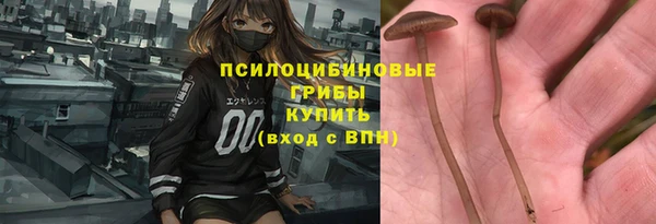 PSILOCYBIN Абдулино