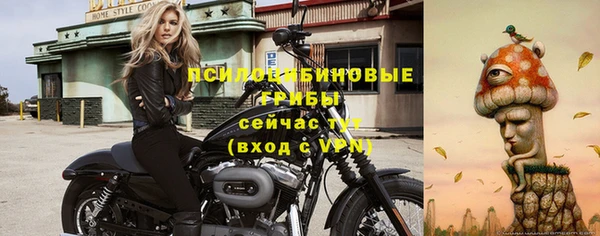 молекула духа Алексеевка